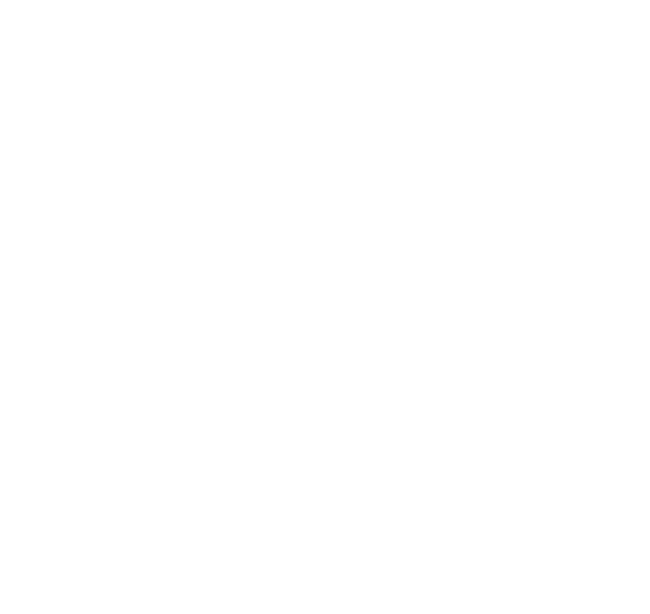 Discover the beauty of Hakone